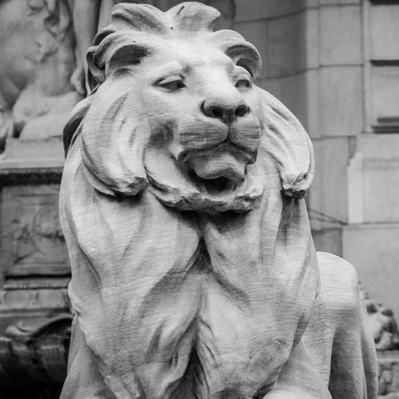 Meet your Posher, Tim - Picture 1 of 1